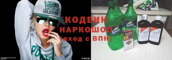 индика Абаза