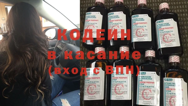 индика Абаза