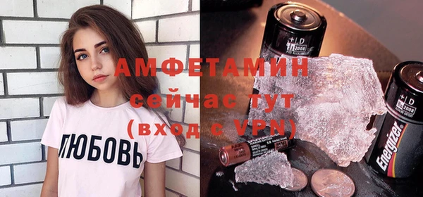 индика Абаза