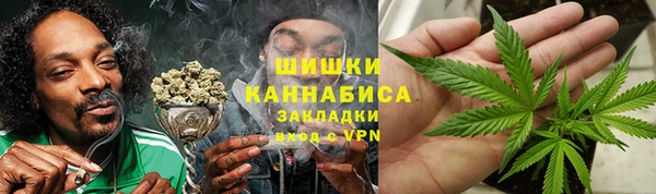 индика Абаза