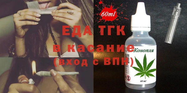 индика Абаза