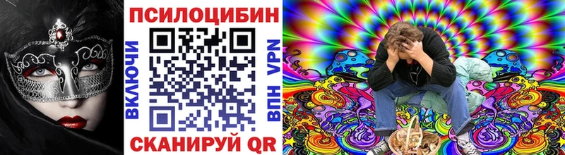 хочу наркоту  Кингисепп  Псилоцибиновые грибы прущие грибы 
