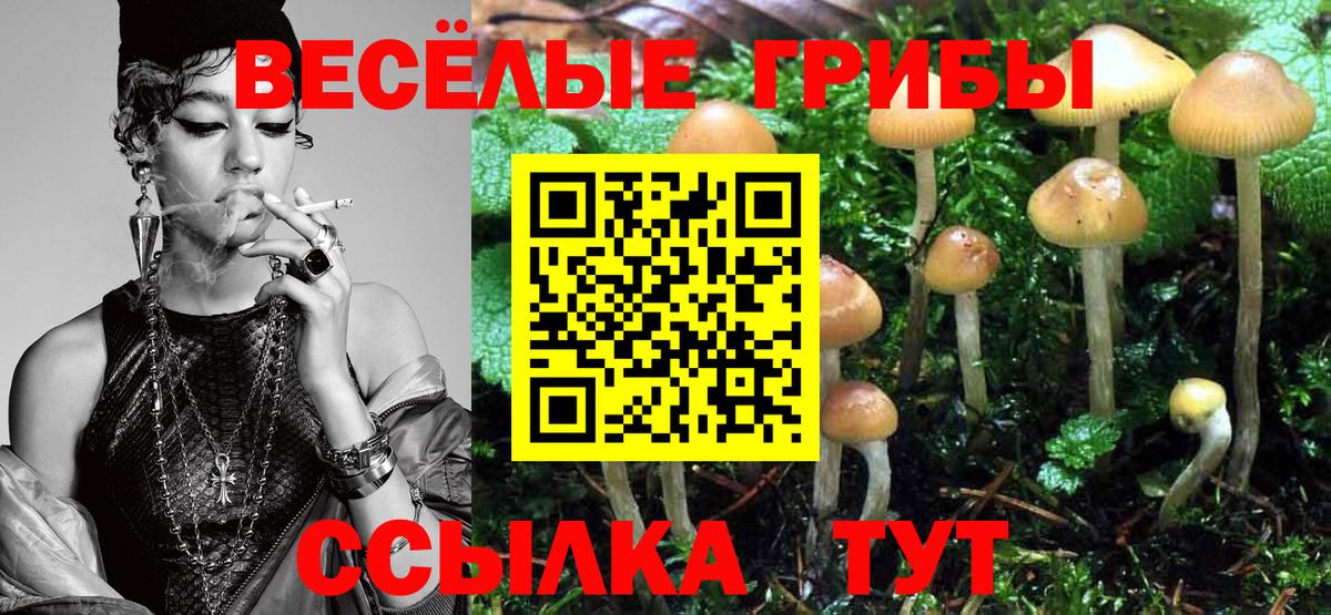 Галлюциногенные грибы MAGIC MUSHROOMS  Псилоцибиновые грибы мицелий  Кингисепп  Вход с VPN 