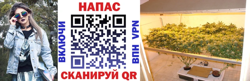 hydra ссылка Кингисепп Бошки марихуана White Widow