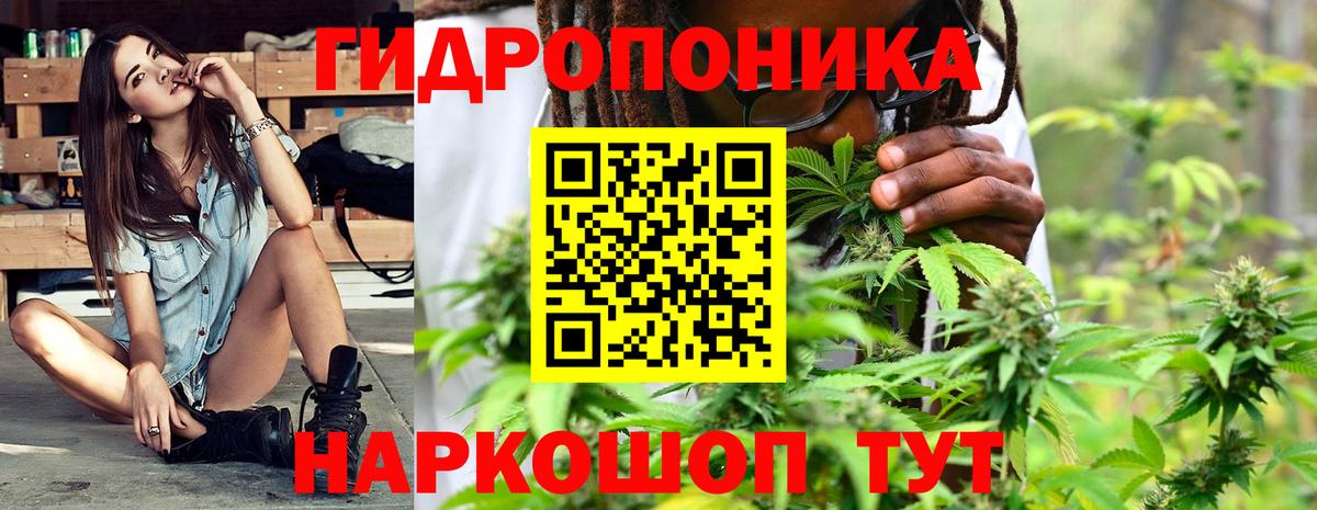 Кингисепп  Бошки Шишки Amnesia  Бошки марихуана VHQ  Вход с VPN  Канабис AK-47 